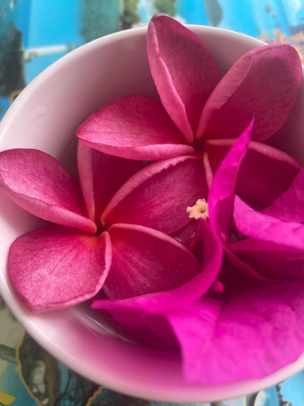 Studio Hibiscus Anse Des Rochers Saint Francois Bagian luar foto